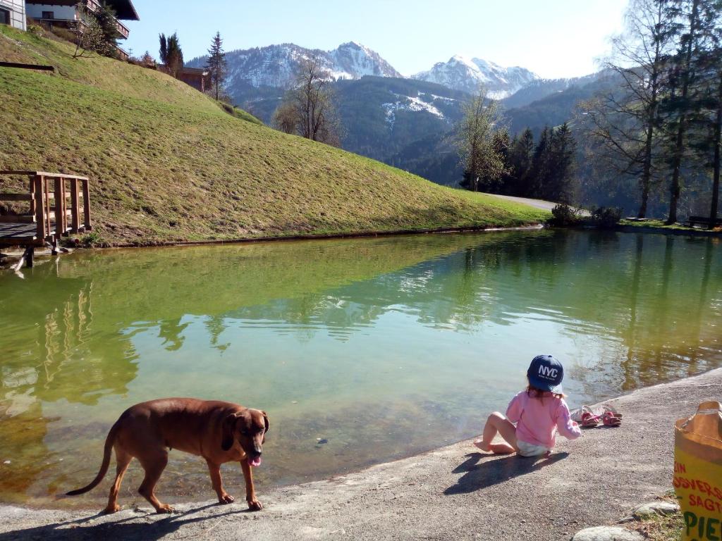 Pension Chalet Bergseegut photo
