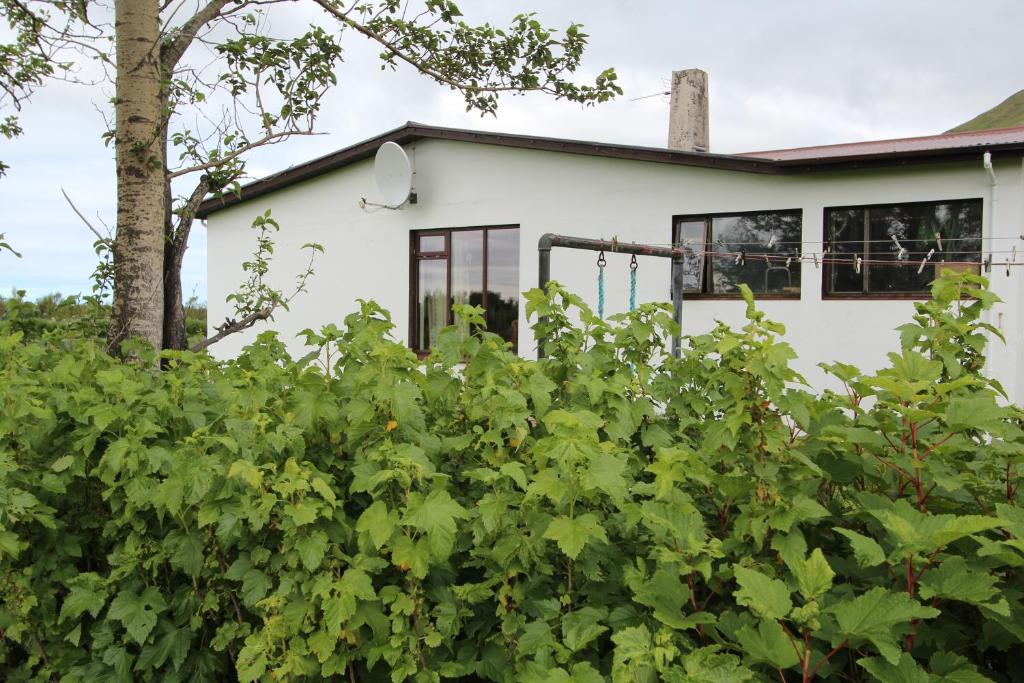 Fosstun Guesthouse photo