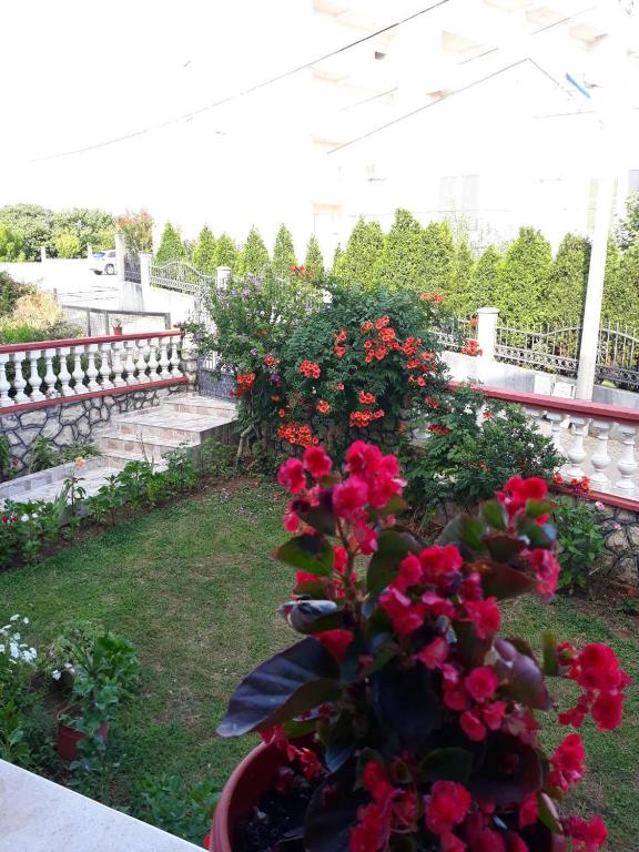 Alvanita Apartments - 3