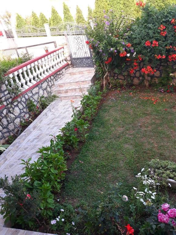 Alvanita Apartments - 2