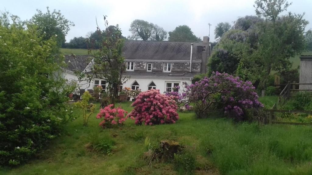 Hills Farm B&B Laugharne photo 6