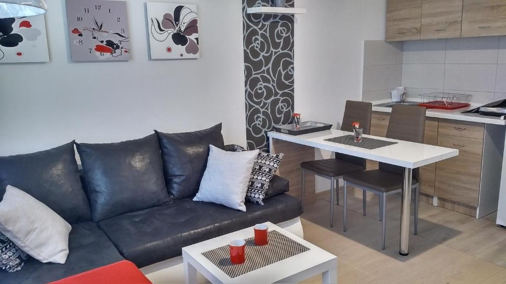Apartmani Amfora - Igalo - 3