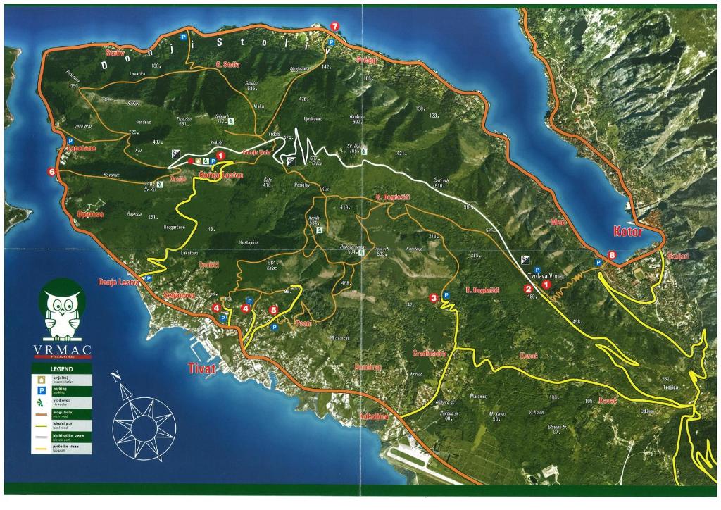 Olahraga dan Aktivitas