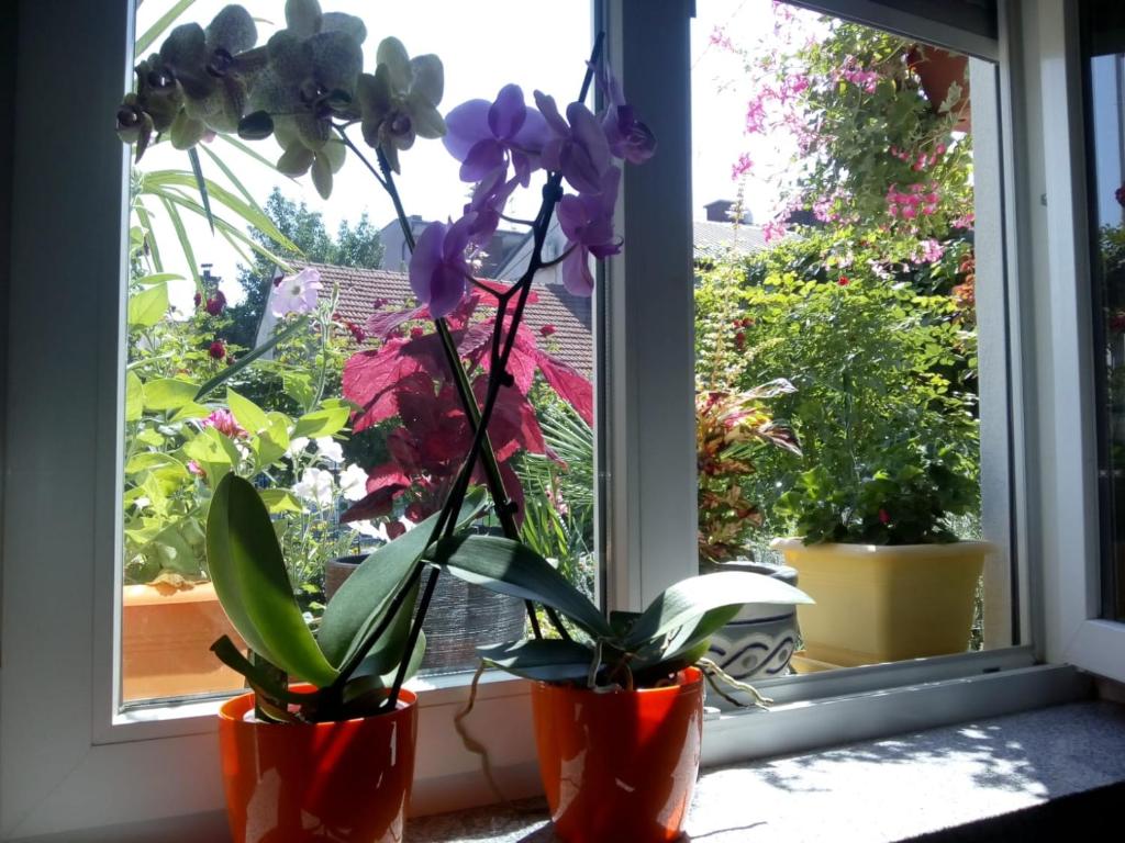 Apartman Teuta Zagreb photo