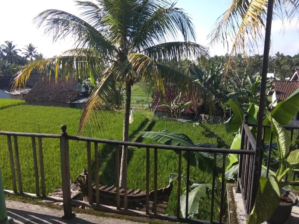 Ijen Farmer Homestay