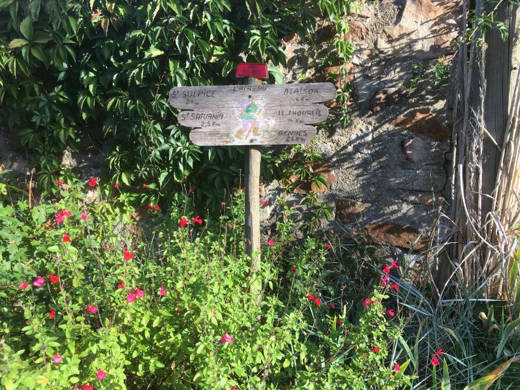 スポーツ/アクティビティ