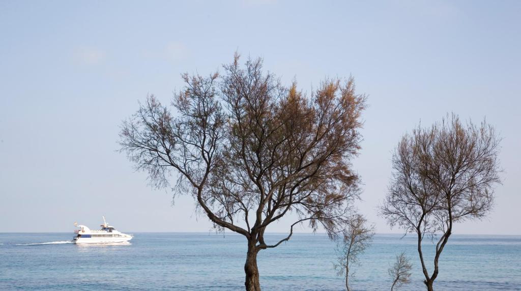 Hotel Mariant — Beach in S'Illot, Balearic Islands