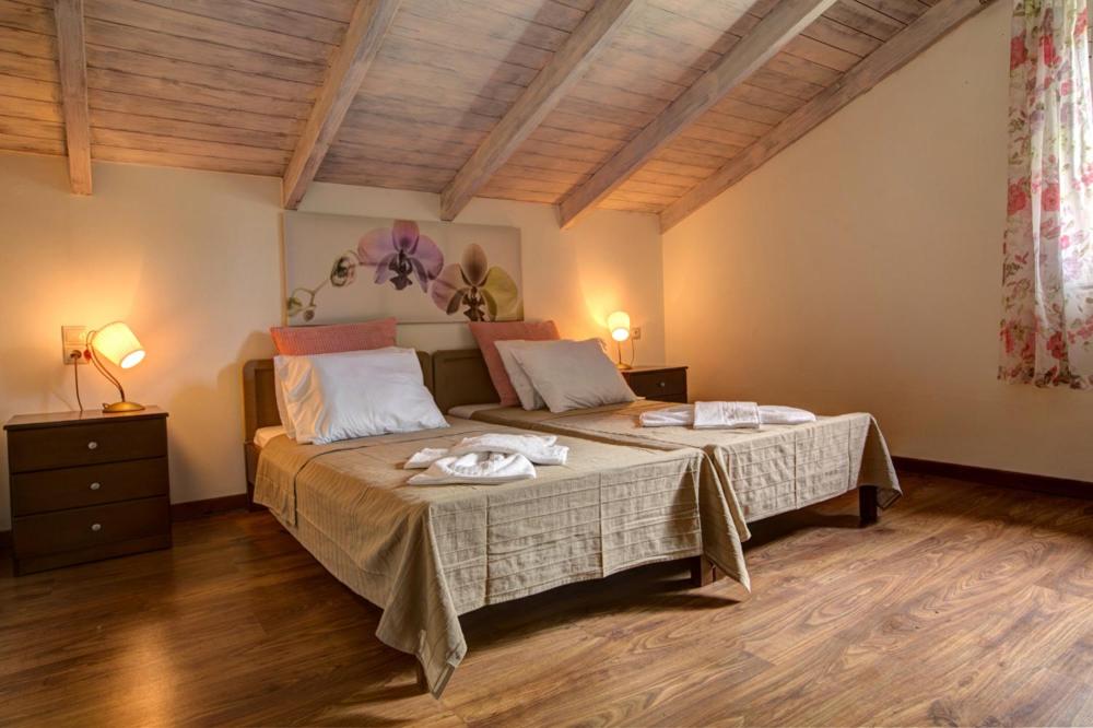 Gatsoulis Villas photo