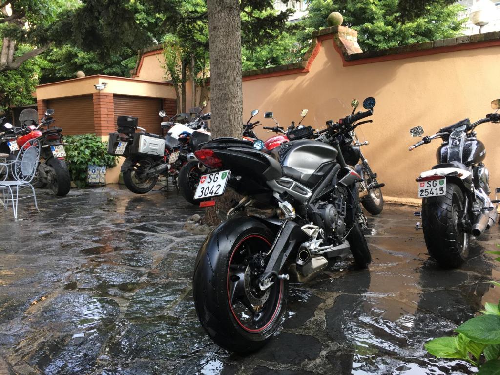 アクティビティ