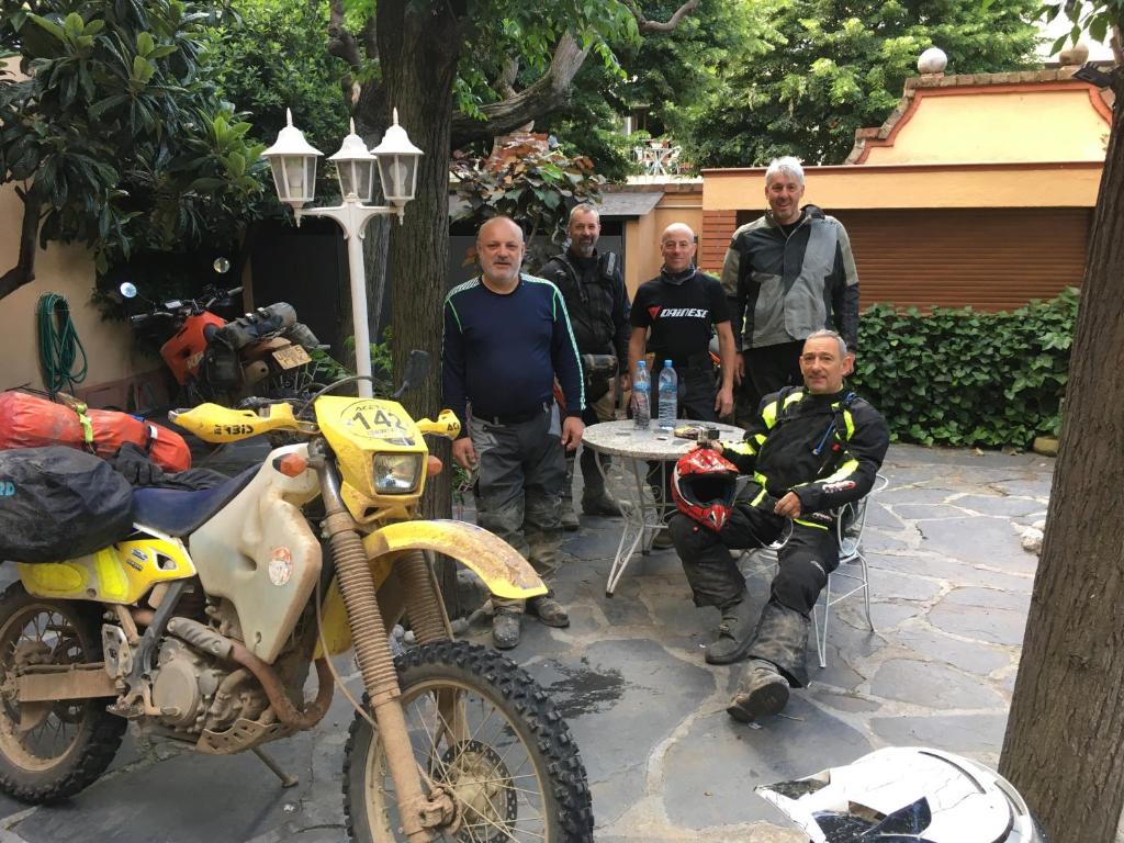 アクティビティ