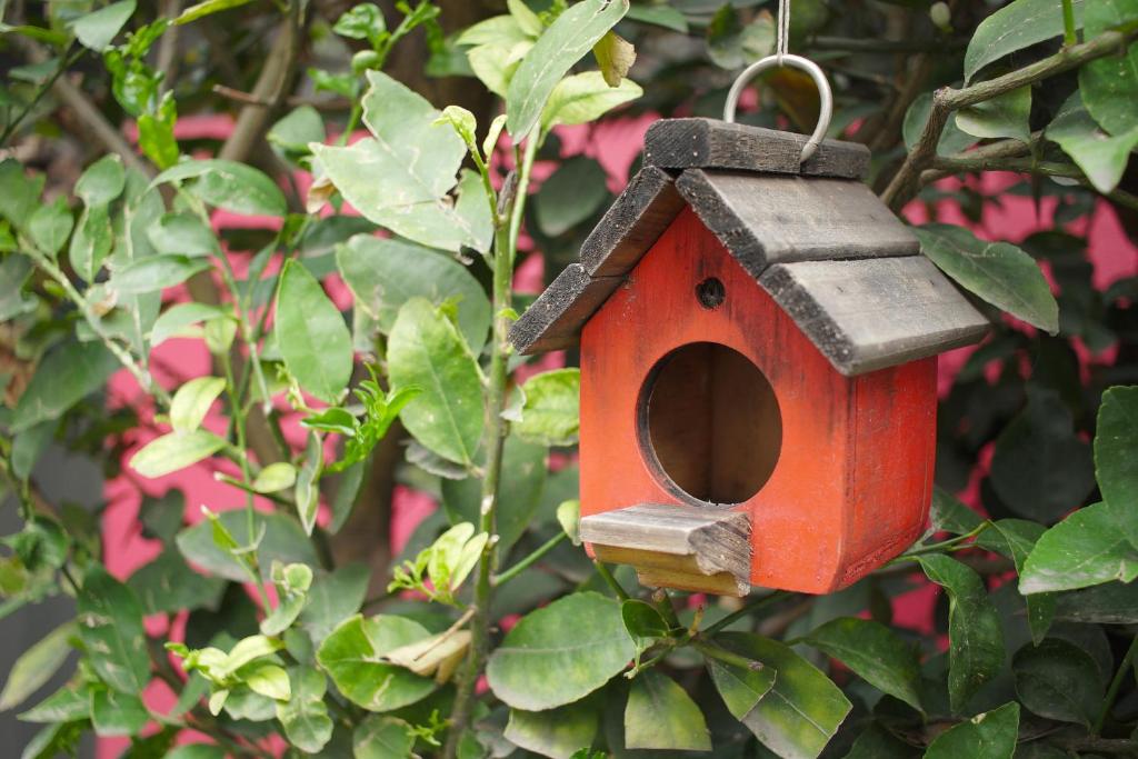 Colibrí B&B - 1