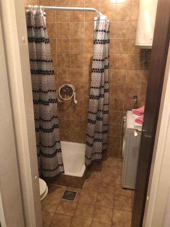 Apartment Divna photo