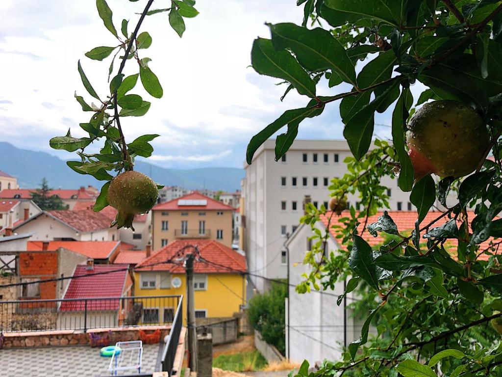 Apartman Tajma - 5