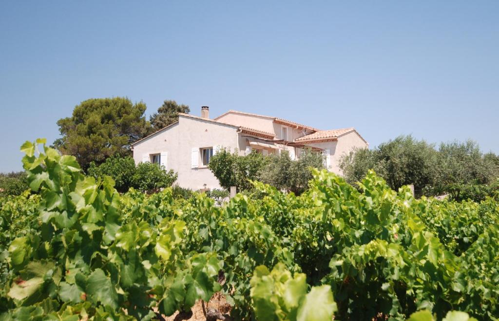 Le Grand Barsan - 1