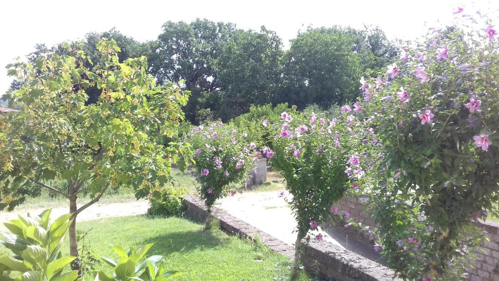 Agriturismo Le Quattro Stagioni - 5