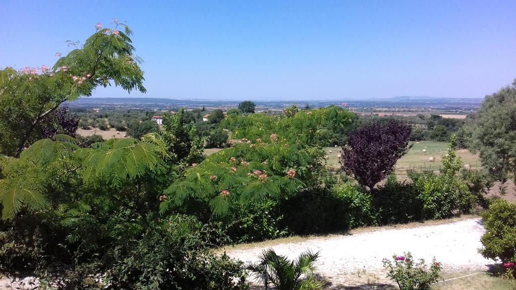 Agriturismo Le Quattro Stagioni - 4