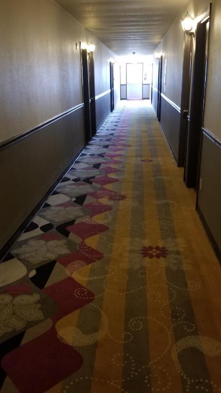 Alexander House Motel photo