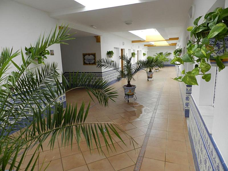 Apartamentos Conil Alquila - 3