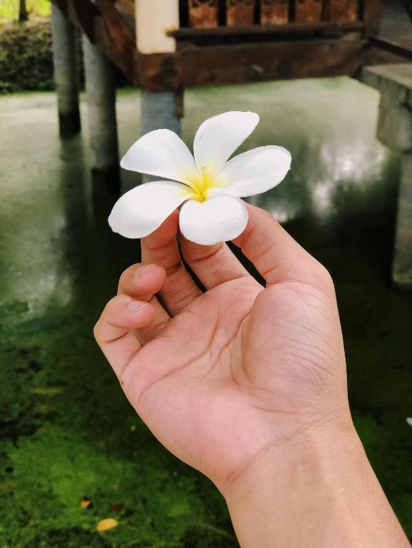 Surrounding environment