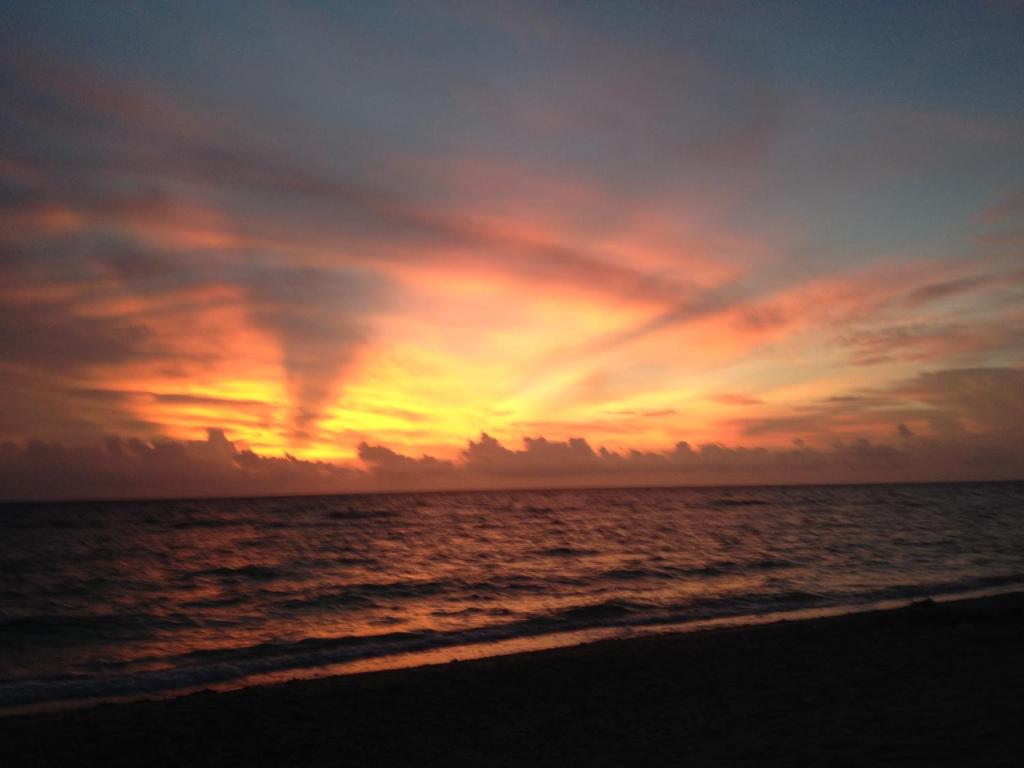 Surrounding environment