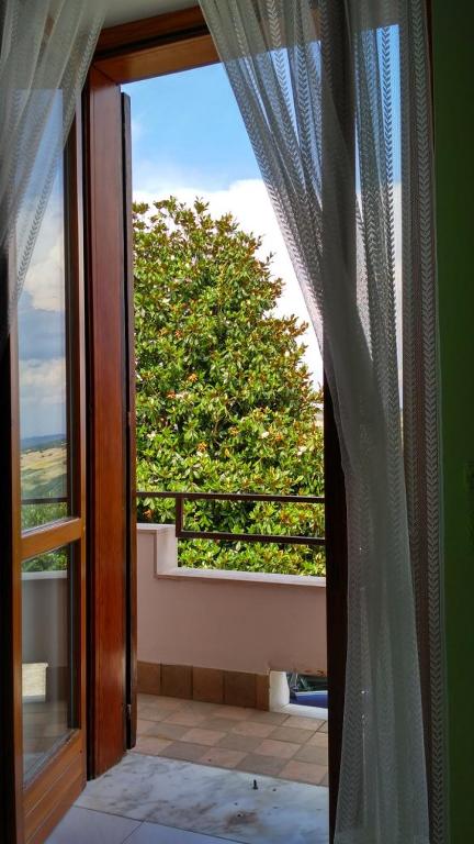 La Magnolia sul Lago photo