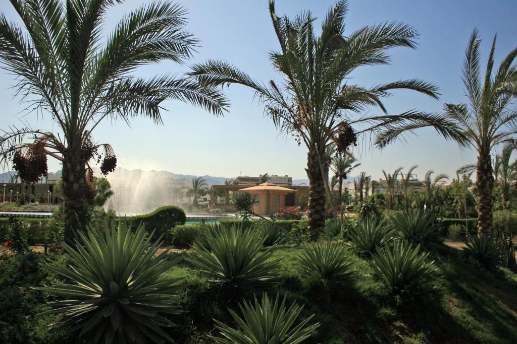 Surrounding environment