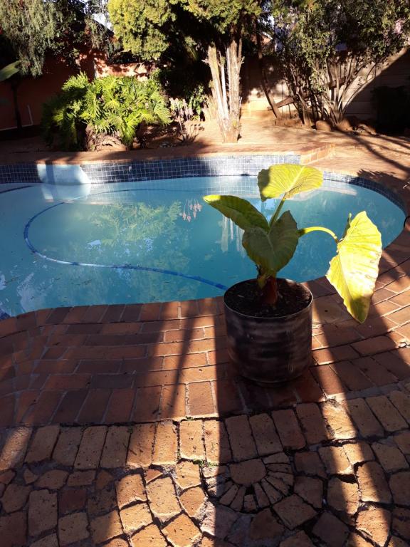 Ubuntu Guesthouse photo