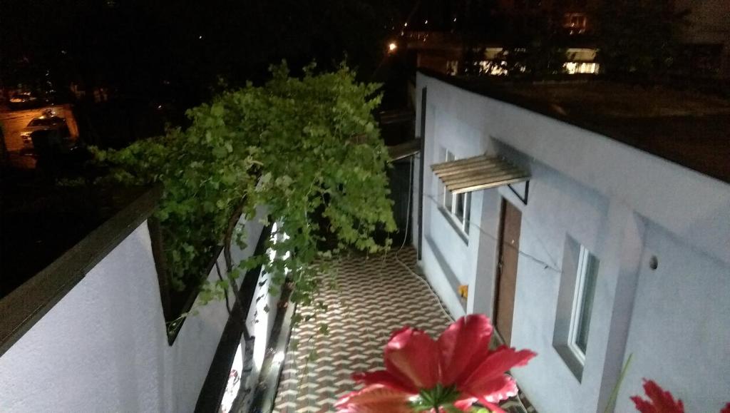 Hotel New Avlabari photo