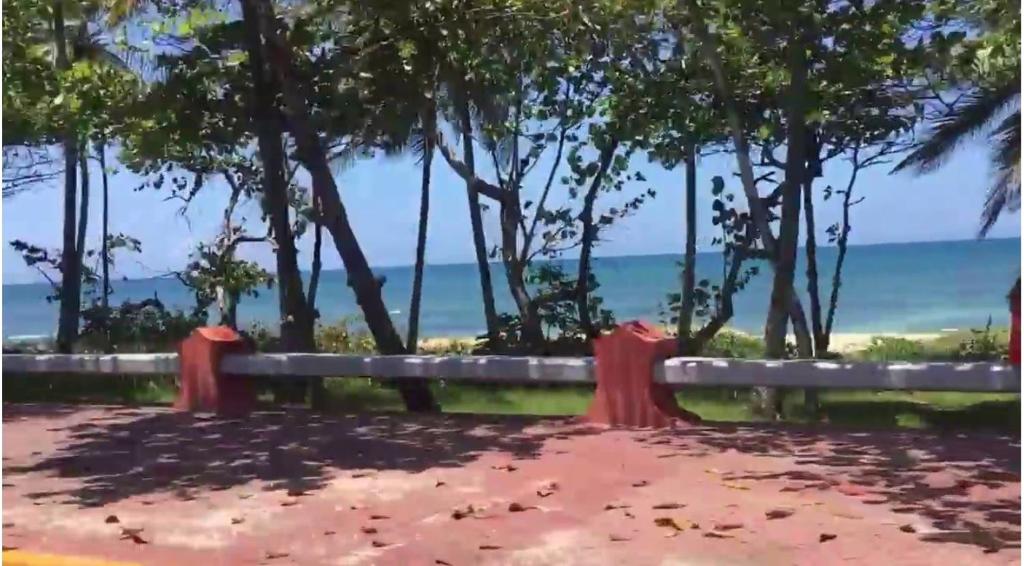 Elisa Furnished Apartments (Puerto Plata City) photo