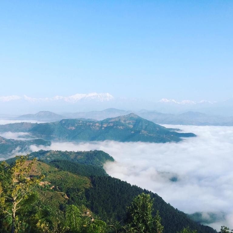 View