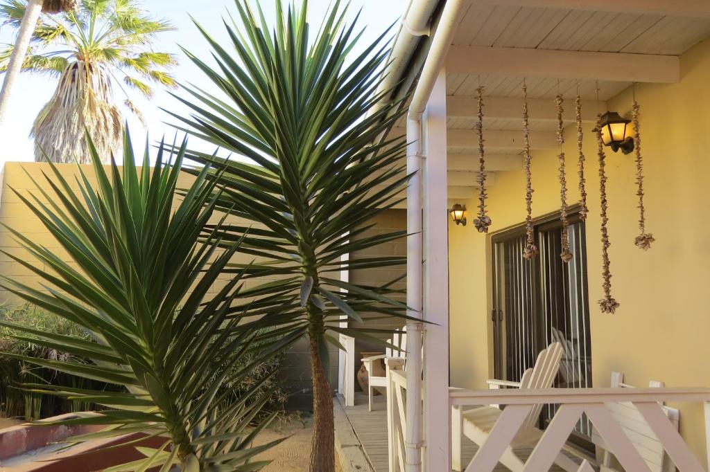 Beach Walk House and Cottage - Self Catering photo