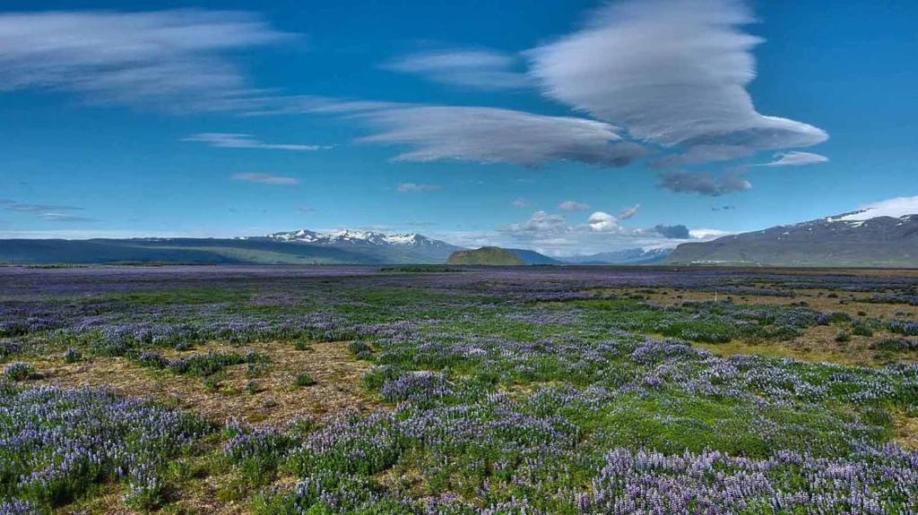 Surrounding environment