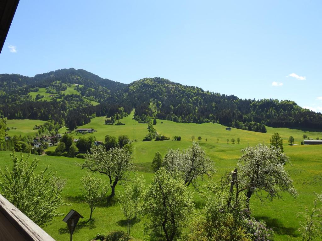 Bauernhof Hintenberg - 4