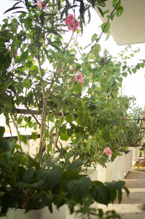 Athens Seaside Apt photo