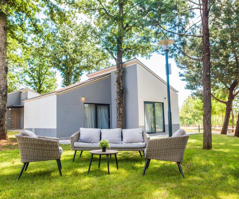 Forest rest. Forest rest