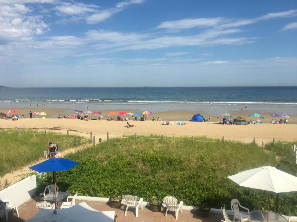 Sandpiper Beachfront Motel photo