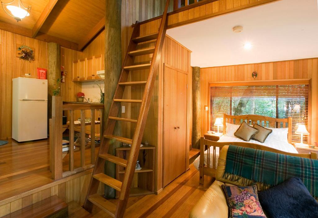Springbrook Lyrebird Retreat - Room image