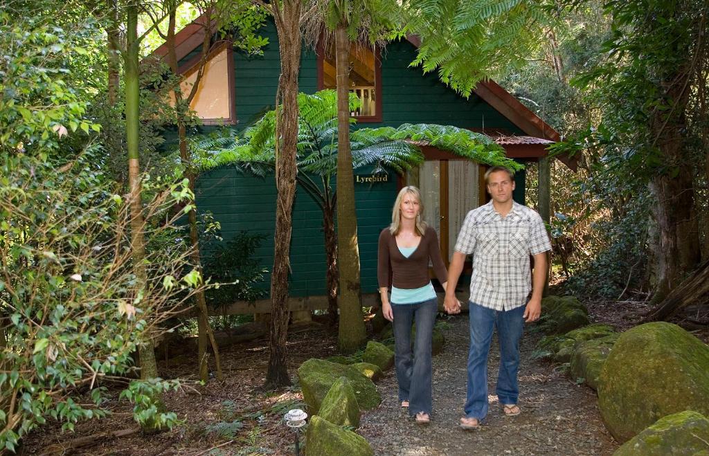 Springbrook Lyrebird Retreat - img