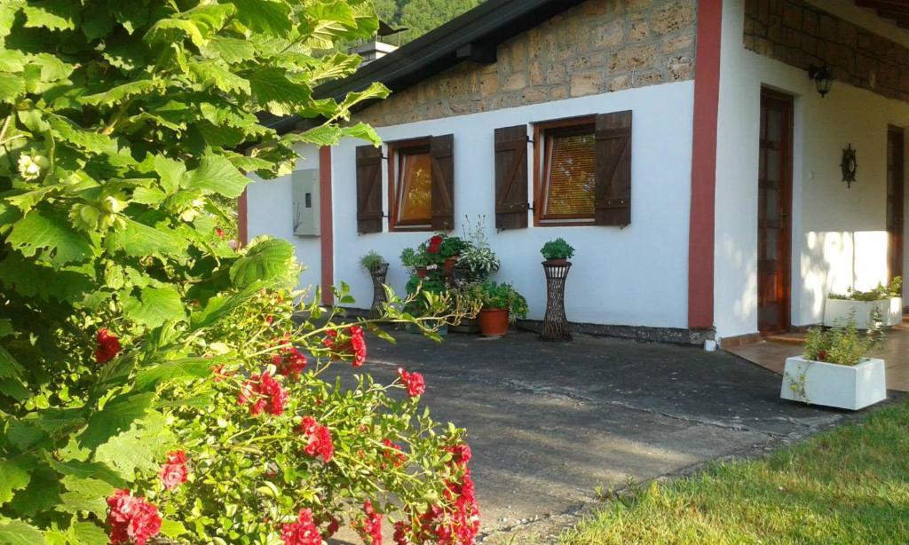 Apartmani Jovanovic photo
