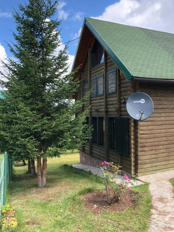 Kuca u borju - House in pines - 3