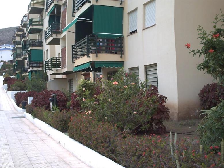 Rooms Complex "Cristimar", Los Cristianos photo