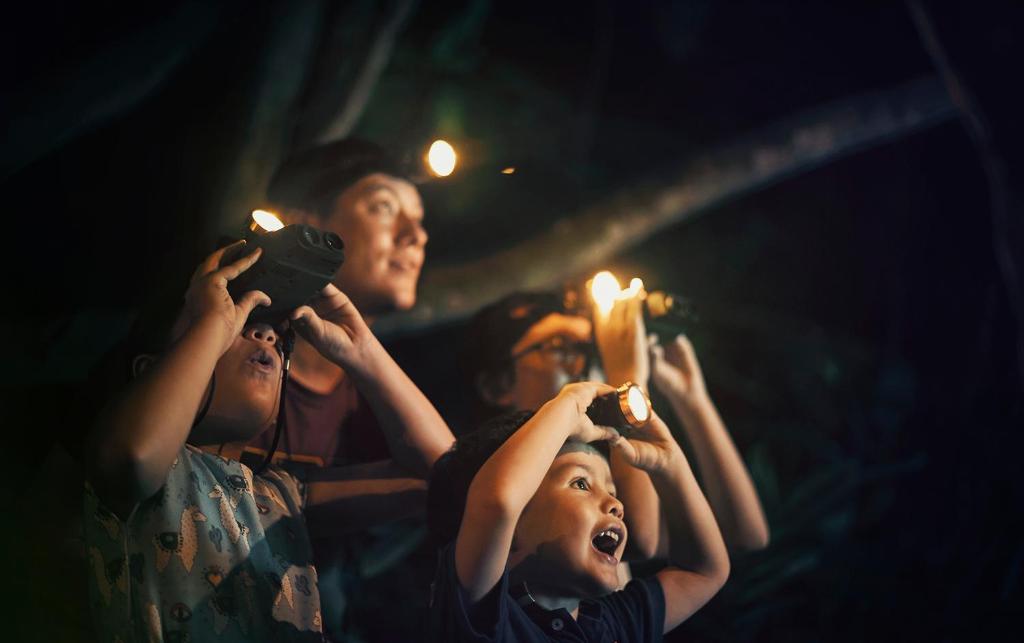 Sports and activities