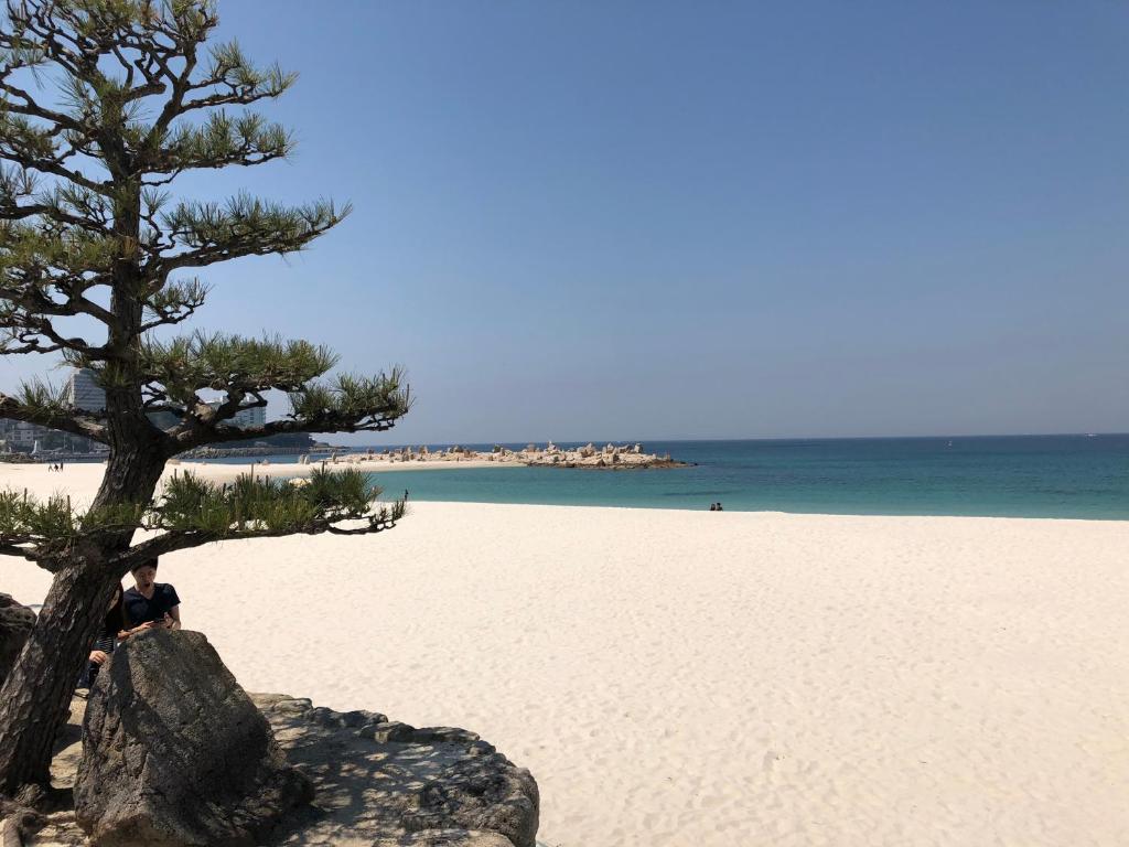 長楽園 — Hotel in Shirahama