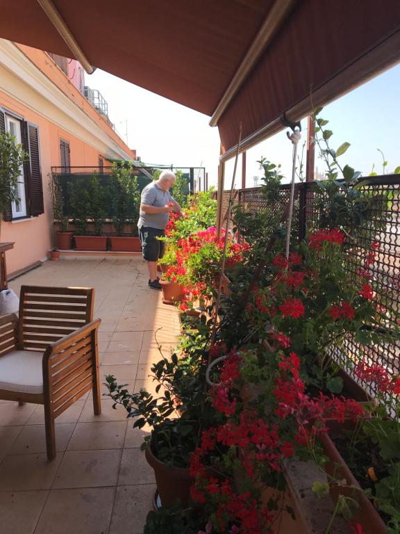 La Terrazza di Evelina Guest House - 3
