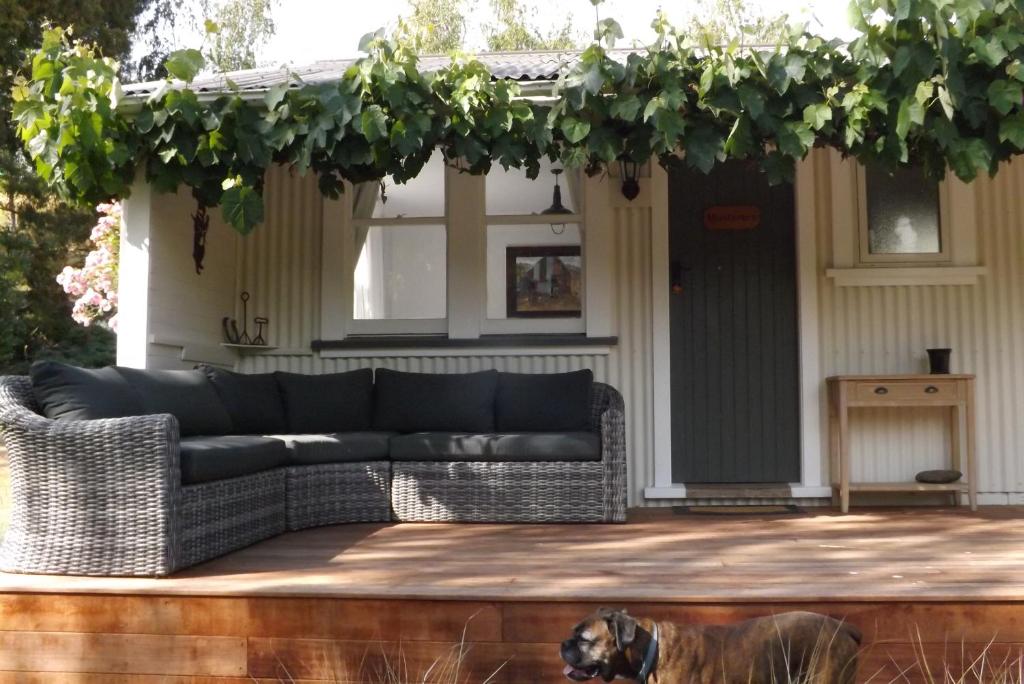 Karetu Downs Farm Stay photo