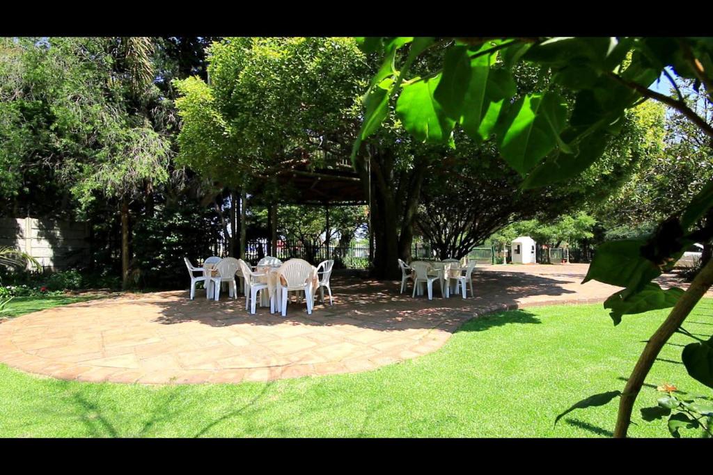 アクティビティ