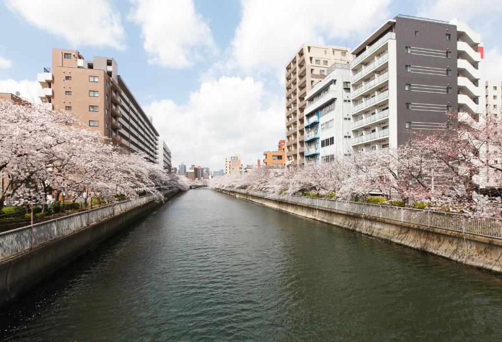 Surrounding environment