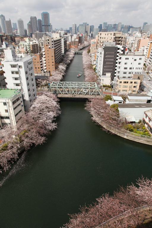 Surrounding environment