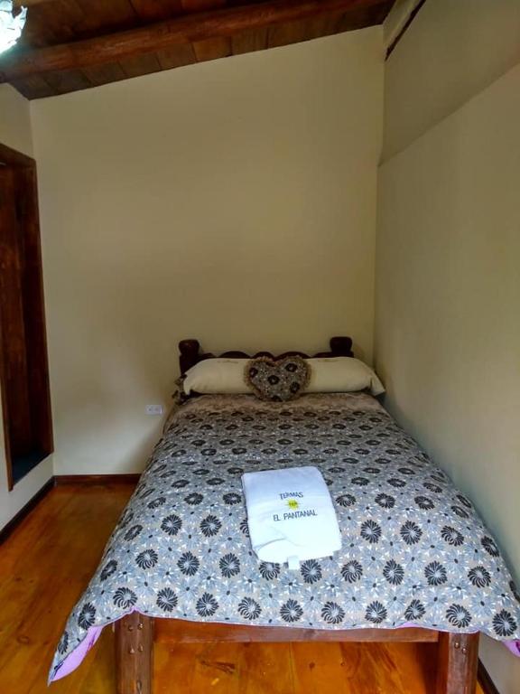 Termas El Pantanal - 4