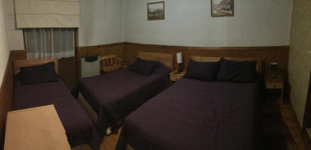 Hostal Chalet Las Violetas photo